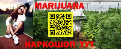 индика Моздок