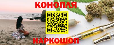 индика Моздок