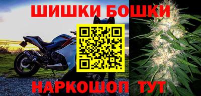 индика Моздок