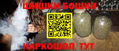 индика Моздок
