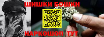 индика Моздок